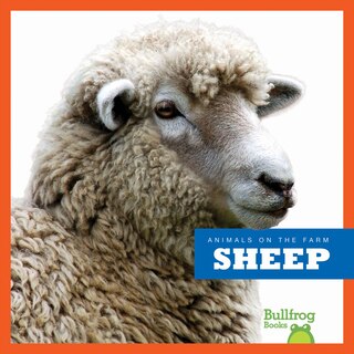 Front cover_Sheep