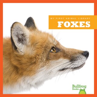Couverture_Foxes