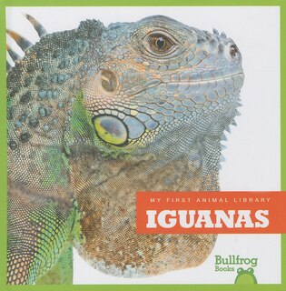 Couverture_Iguanas