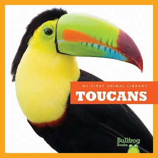 Couverture_Toucans