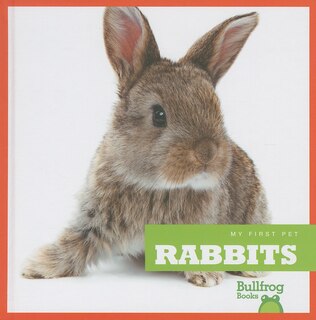 Couverture_Rabbits