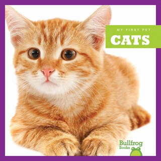 Front cover_Cats
