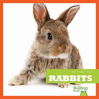 Couverture_Rabbits