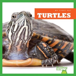 Front cover_Turtles