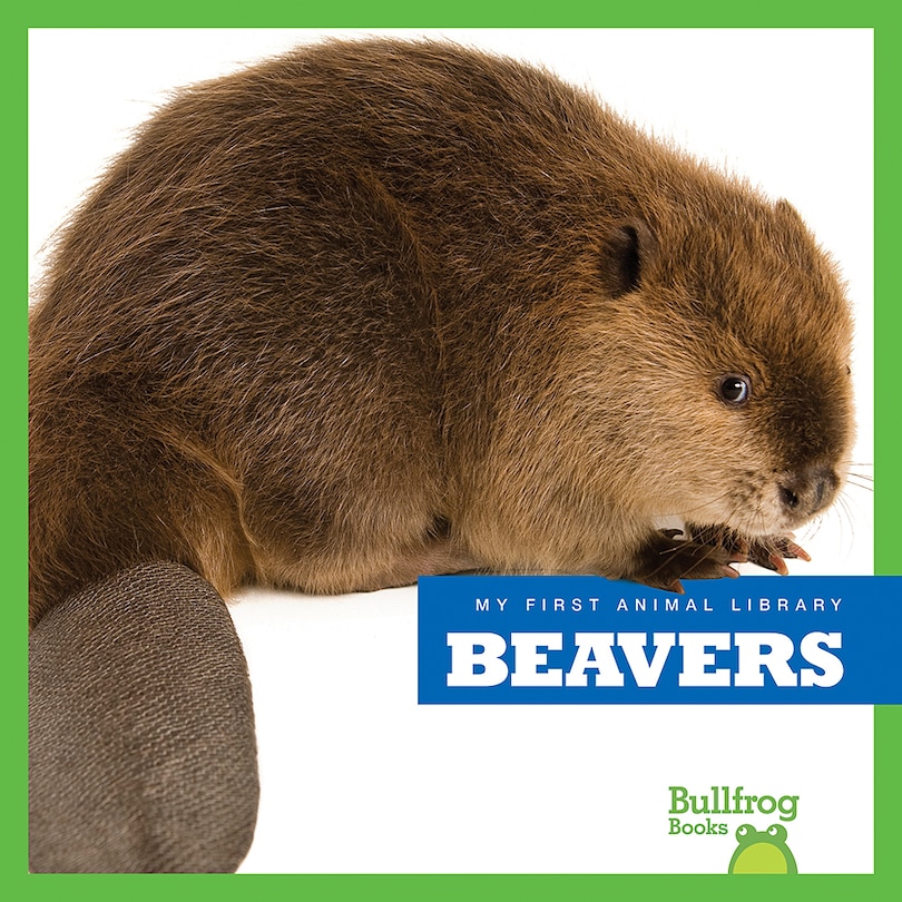 Couverture_Beavers