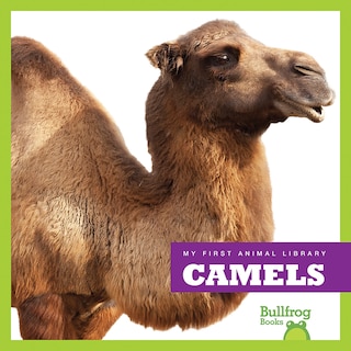 Front cover_Camels