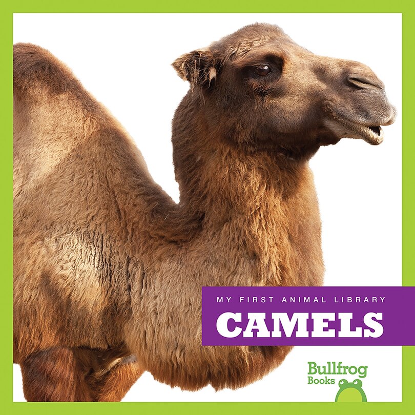 Front cover_Camels