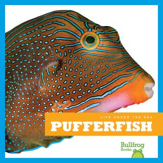 Front cover_Pufferfish