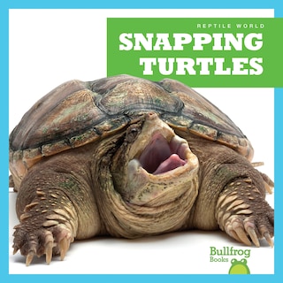 Couverture_Snapping Turtles