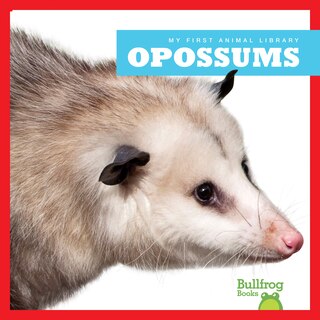 Front cover_Opossums