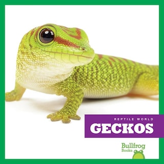 Geckos