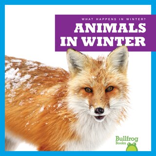 Front cover_Animals in Winter
