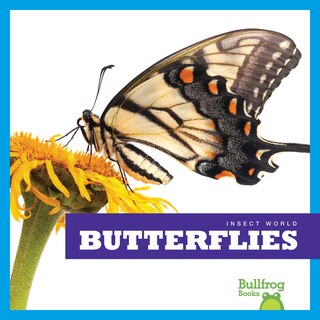 Couverture_Butterflies