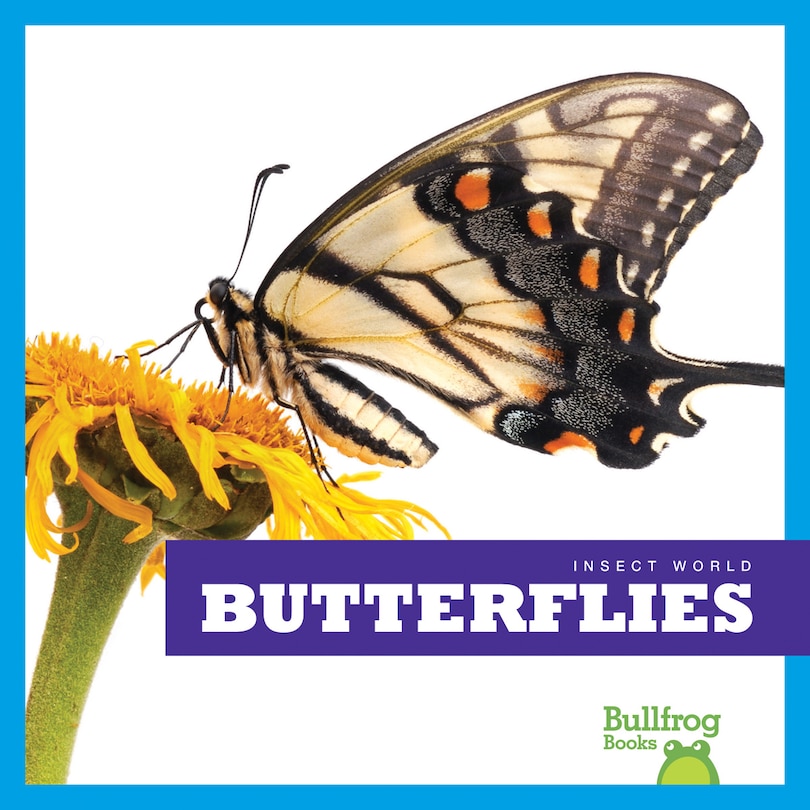 Couverture_Butterflies