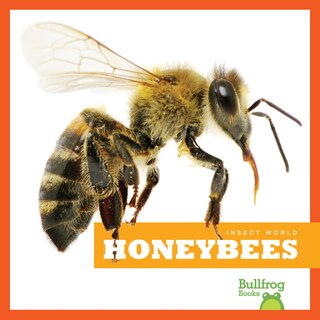 Front cover_Honeybees