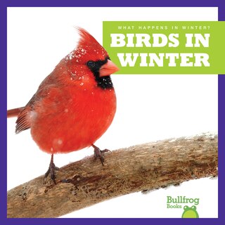 Front cover_Birds in Winter