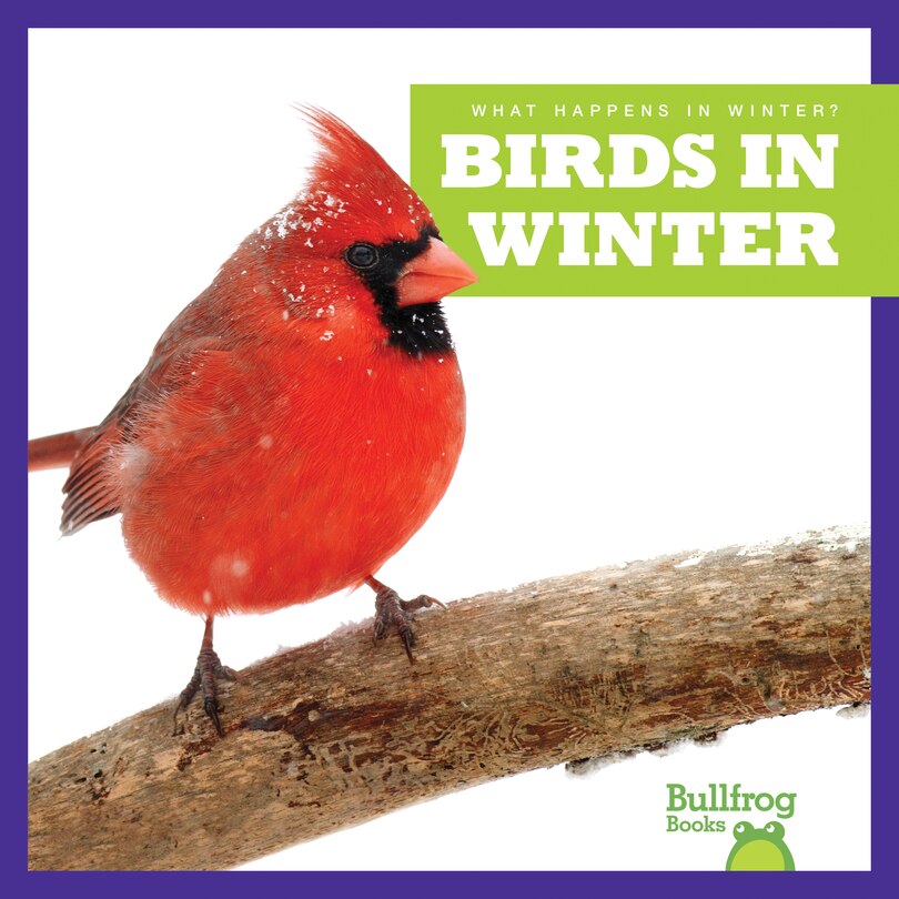 Front cover_Birds in Winter
