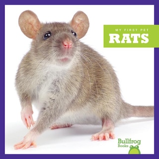 Front cover_Rats