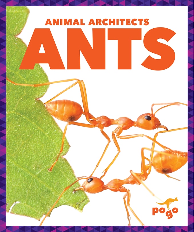 Ants