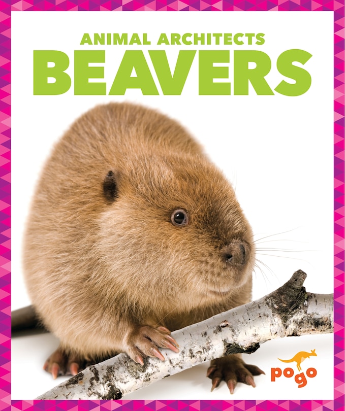 Beavers