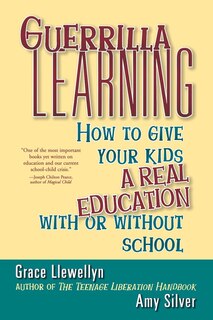 Couverture_Guerrilla Learning