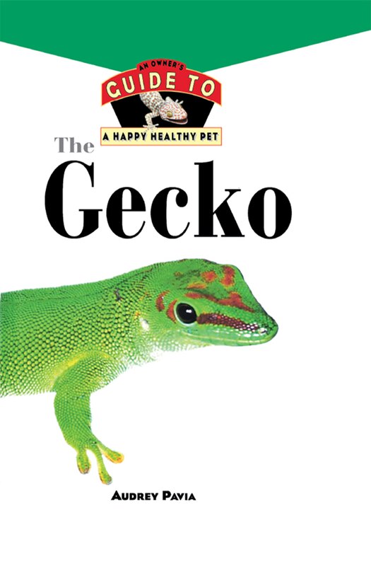 Couverture_The Gecko