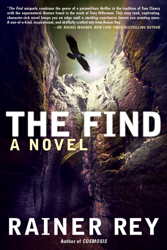 Couverture_The Find