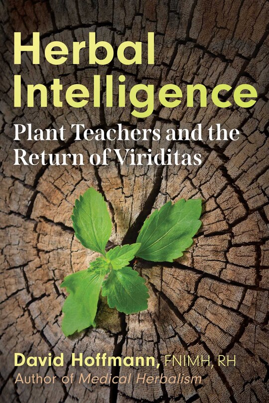 Herbal Intelligence: Plant Teachers and the Return of Viriditas