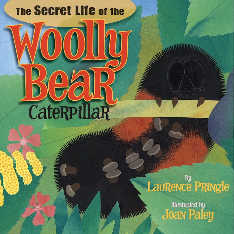 Couverture_The Secret Life of the Woolly Bear Caterpillar