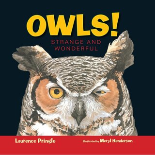 Couverture_Owls!