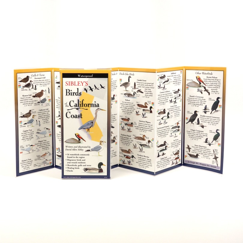 Couverture_Sibley's Birds Of The Pacific Northwest