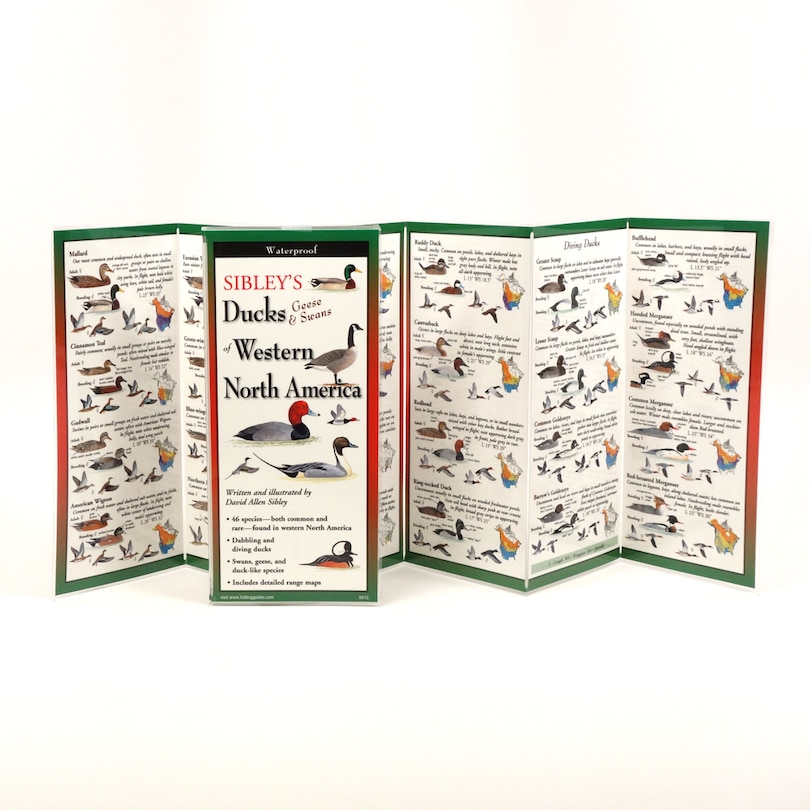 Front cover_Sibley's Ducks Of Western North America-folding Guides