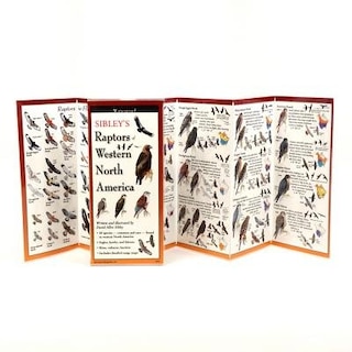 Front cover_Sibley's Raptors Of Western North America - Folding Guides