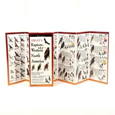 Sibley's Raptors Of Western North America - Folding Guides