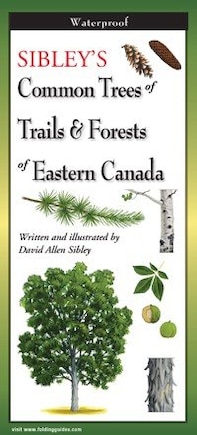 Sibley's Common Trees of Eastern Canada