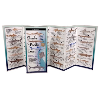 Couverture_Sharks & Rays of the Pacific Coast -Fold