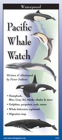 Pacific Coast Whale Watch Folding Guide