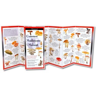 Front cover_Common Mushrooms of the Midwest