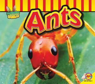 Couverture_Ants