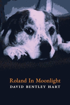 Roland In Moonlight