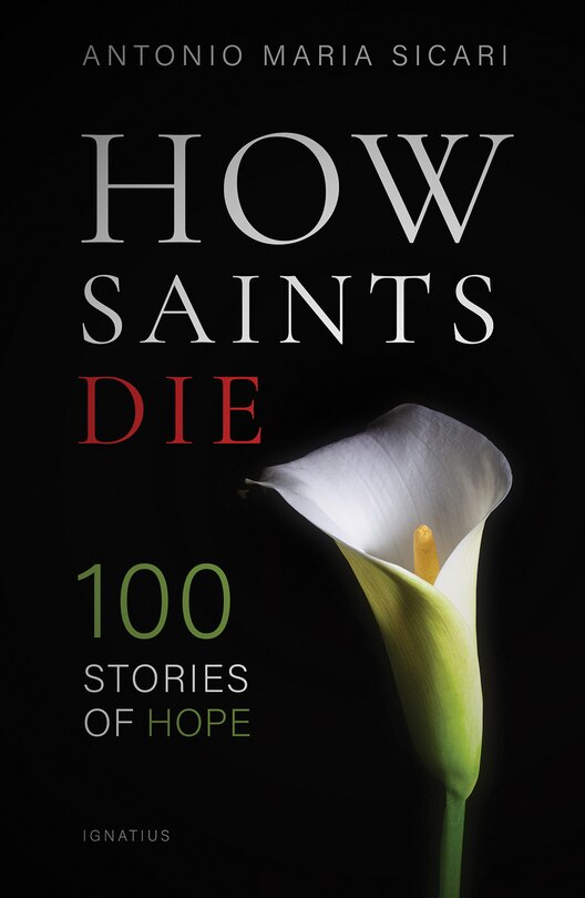 Couverture_How Saints Die