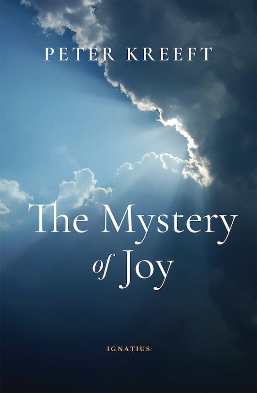Front cover_The Mystery of Joy