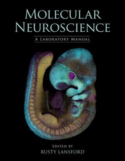 Front cover_Molecular Neuroscience: A Laboratory Manual