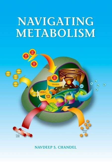 Front cover_Navigating Metabolism