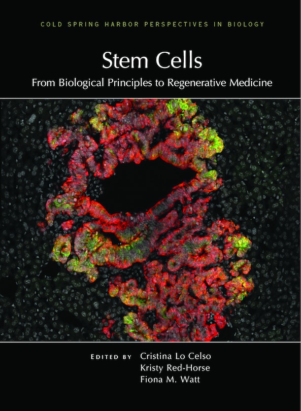 Front cover_Stem Cells: From Biological Principles to Regenerative Medicine