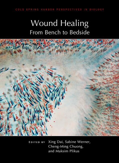 Couverture_Wound Healing: From Bench to Bedside