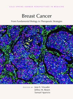 Front cover_Breast Cancer: From Fundamental Biology to Therapeutic Strategies
