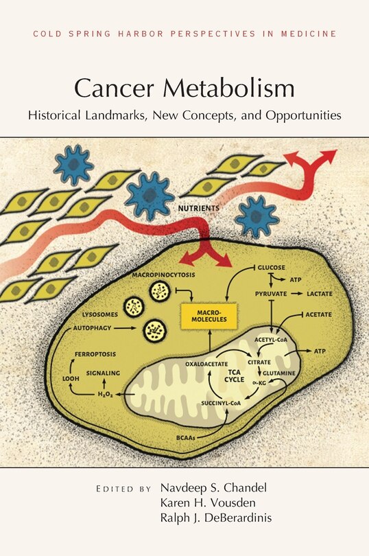 Front cover_Cancer Metabolism: Historical Landmarks, New Concepts, and Opportunities