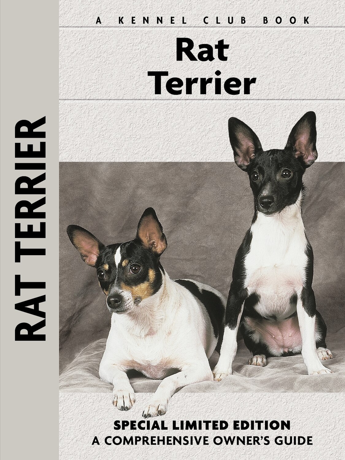 Indigo top rat terriers