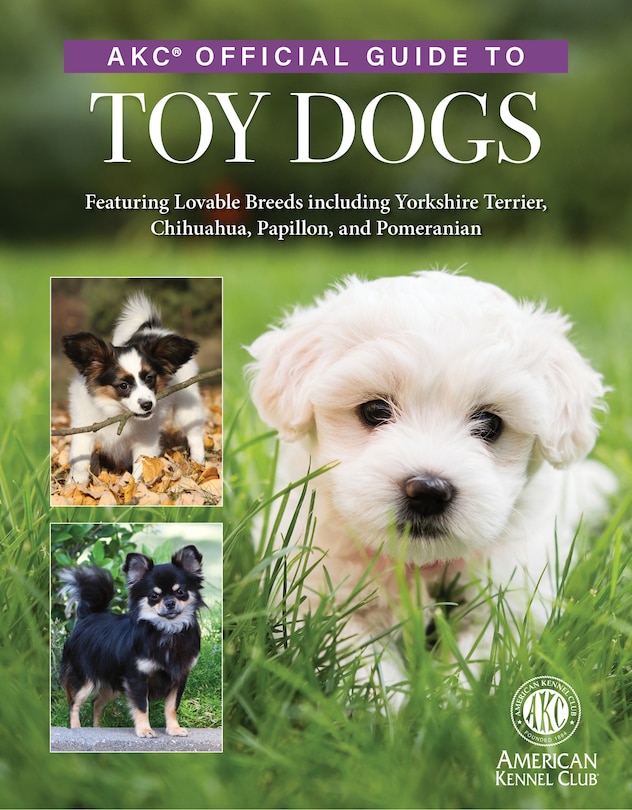 Front cover_AKC Official Guide to Toy Dogs